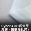 Mtshell®Yama™ Cyber 420T闪光尼龙皱（硬挺无轧光） – SGA260225