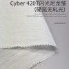 BLAZE FORM ™ · 曜彩 ™ Cyber 420T 闪光尼龙皱(硬挺无轧光) - SGA260225
